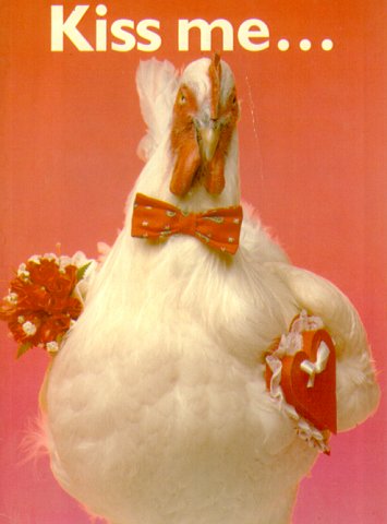 The a funky fowl